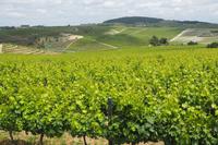 P6040197, Quinta de Avessada