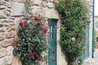 P6050263, Castelo Rodrigo