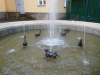 Peterhof (4)