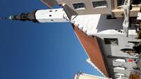 Tallin (14)