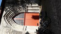 Tallin (16)