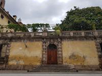 Gartenanlage auf der Dachterrasse in Lucca