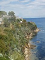 Landschaft Insel Elba