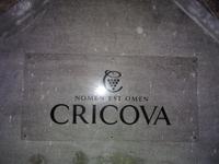 In Cricova