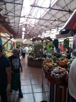 Markthalle Funchal