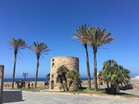 Turm der Stadtmauer von Alghero
