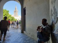 Stadtrundgang durch Sevilla am Tag 2