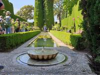 Besichtigung von Alhambra Festung in Granada als Tagesausflug (5)