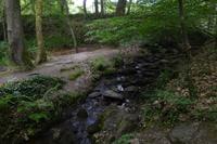 3.Tag, Wanderung im Wald von Brocéliande 