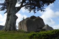 8.Tag, Wanderung an der Rosa Granit Küste