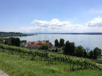 Blick auf den See