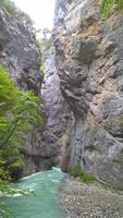 Zu Besuch in der Aareschlucht