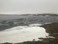 Hardangervidda