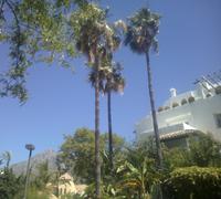 Tschüss und bis bald, Andalusien!