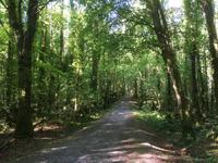 Wanderung in Coole Park