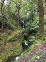 Wanderung in Glendalough - Poulabass-Wasserfall