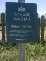 Wachau
