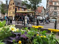 Platz am Unterlindenmuseum