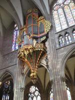 Münster. Schwalbennest-Orgel