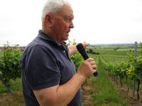 Emil erläutert den Weinanbau