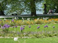 Insel Mainau