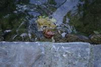 tierische Eindrücke