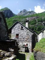 Bovonatal