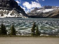 Bow Lake im Fruehling