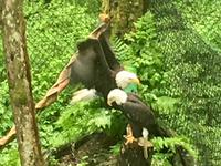 schau wie isch schon wieder fliegen kann