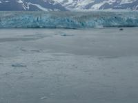 immer wieder kalbert der Hubbard Gletscher