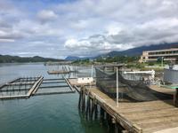 Fischaufzucht in Juneau