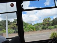 Mediterrane Landschaft in St Hélier, Jersey