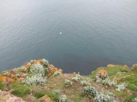 Cap Frehel