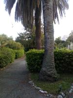 IMG-20190620-WA0143