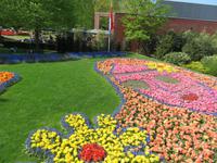 auf dem Keukenhof, Holland