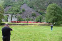 Ein beliebtes Fotoobjekt