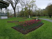 IMG_20190602_084442