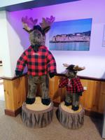 IMG_20190603_151847