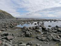 IMG_20190608_160602