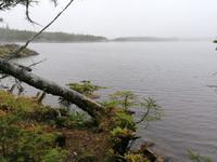 IMG_20190608_170938