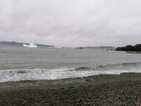 IMG_20190610_103842