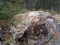 IMG_20190610_163117