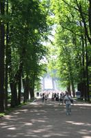 Schatten tat gut bei den Temperaturen