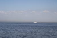 Raketaboot auf dem Weg nach Peterhof