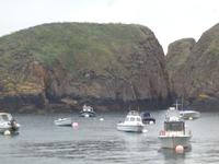 Sark - alter Hafen
