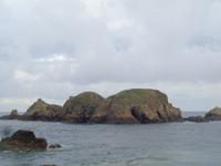 Sark