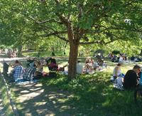Schweden feiern Mitsommer im Skansenpark, Stockholm
