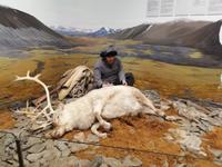 Polar-Museum in Tromsö