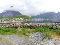 Lofoten