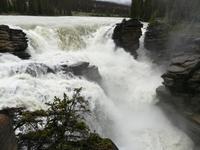 133 Athabasca Wasserfall